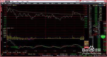 炒股基础知识入门教学视频,视频教学核心内容概览