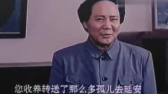 毛主席的演讲视频,激昂岁月，智慧光芒