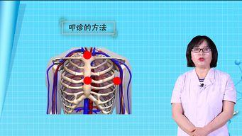 心脏叩诊视频,掌握心脏健康评估技巧