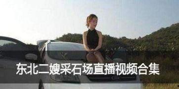 东北低俗视频,网络乱象背后的社会反思