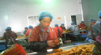 加工辣条视频,从原料到成品，带你领略辣条魅力