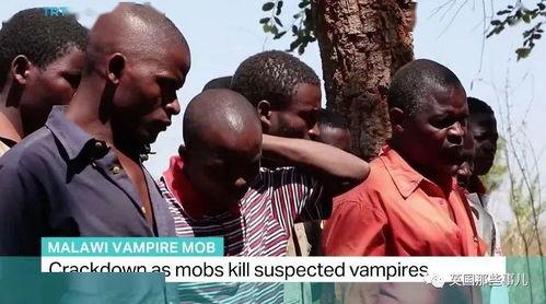 非洲杀人视频,揭秘令人胆寒的杀人视频真相