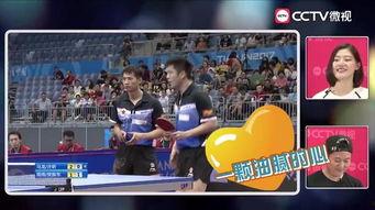 搞笑视频央视,笑点满满，欢乐无限