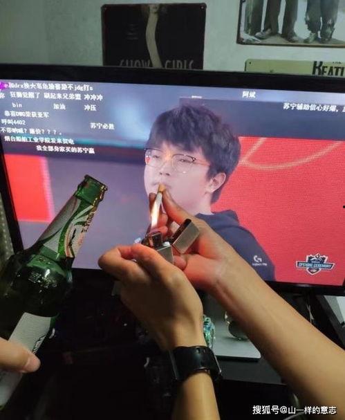 阿宾之房东太大视频播放,一场爆笑的租房奇遇记