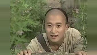 太极宗师闯关视频,一招一式，传承千年武术精髓