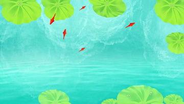 夏季视频,探寻夏季魅力瞬间