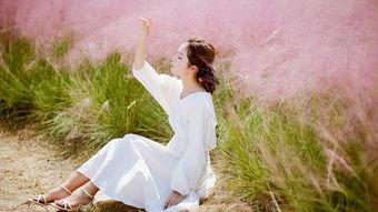 乱子视频,揭秘网络迷雾中的真实世界